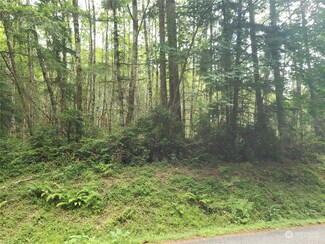 0 Haskel Hill Rd Unit NWM2260330, Shelton, WA 98584