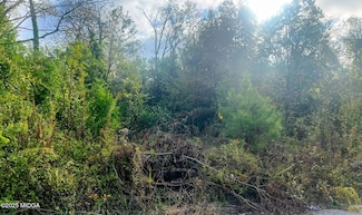 992 Bartlett St, Macon, GA 31204