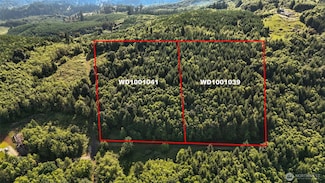 0 Lot Parcel Wd1001039 Unit NWM2398564, Kelso, WA 98626