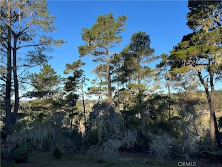 3235 Rogers Dr, Cambria, CA 93428