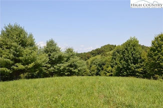 Lot #16 Twin Oaks Mountain Blvd, Sparta, NC 28675