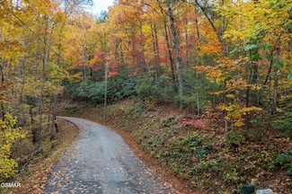 Lot 9 &10 Laurel Mountain Rd, Gatlinburg, TN 37738