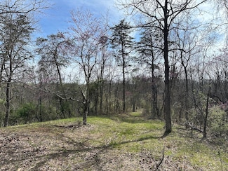 0 Chesterville Rd Unit Lot WP001 23687476, Mineral Wells, WV 26150