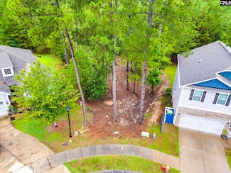 794 Carolina Aster Dr, Blythewood, SC 29016
