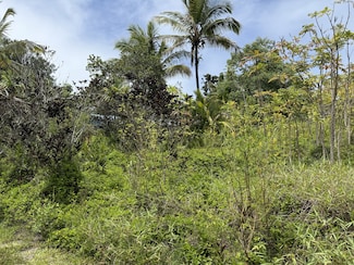 15-1032 Wahi Heiau Place, Hawaiian Paradise Park, HI 96749