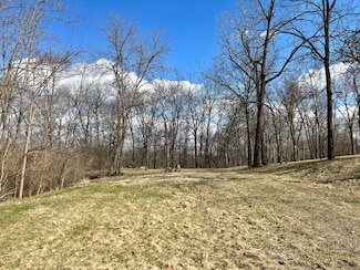 Lot 5 Thirty Foot Trail Rd, Oglesby, IL 61348