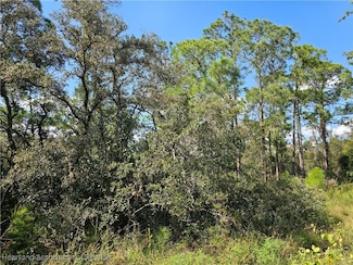 7105 Orchid Place, Sebring, FL 33875