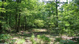 0 Jensen Rd Unit 16032644, Mountain View, AR 72560