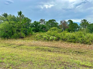 0 Reynolds Pkwy Unit MFRO6214506, Orlando, FL 32833