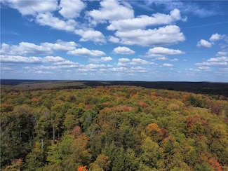 0 US Highway 6, Hamlin Township, PA 16735