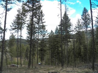 0 Evergreen Acres Ln Unit 822937, Republic, WA 99166