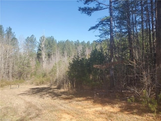 1969 Mulberry Academy St, Franklinville, NC 27248