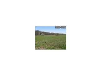 0 Township Road 501 Unit 3403398, Big Prairie, OH 44611