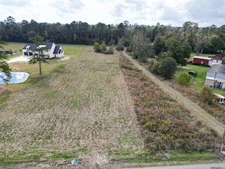 CC-2-A & B Herman Ernest Rd, Denham Springs, LA 70706