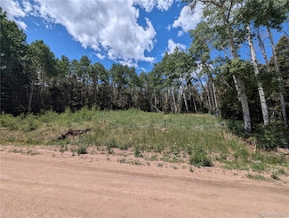 3070 Henderson Dr, Forbes Park, CO 81133