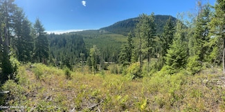 NKA Nfd 2294, Clark Fork, ID 83811