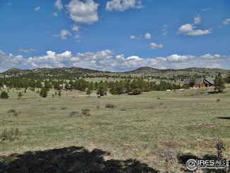 181 Deadhorse Mountain Ct, Glacier View Meadows, CO 80536