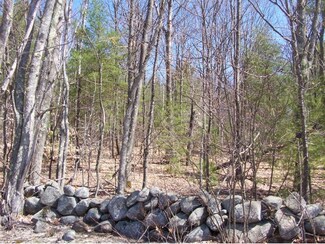 237 Grapevine Rd, Dunbarton, NH 03046