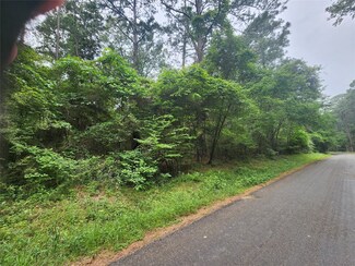 207 Long King, Livingston, TX 77351