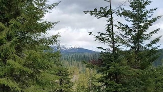 203xx N Wallis Rd, Mead, WA 99021