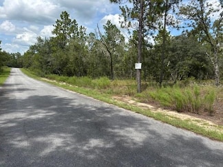 0000 SW Seaweed Ave, Dunnellon, FL 34431