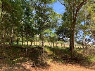 0 County Road 3319, Troy, AL 36079