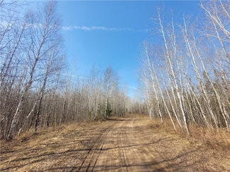 Near Knowles Rd, Draper, WI 54896