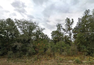 0 Matheson St, Chipley, FL 32428