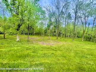 Parcel C Willow, Lansing, MI 48917