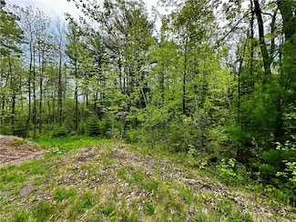 15433 State Hwy 178, Jim Falls, WI 54748