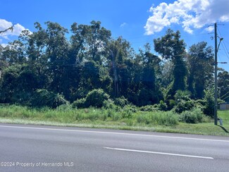0 U S Highway 19, Fanning Springs, FL 32693