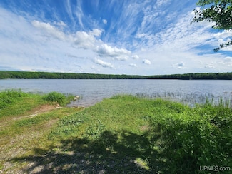 TBD Wildwood Lake Rd Unit Lot X, Iron River, MI 49935