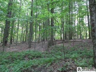 0 Snowball Hollow Rd Unit R1623910, Scio, NY 14880