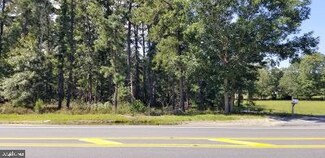 235 & 239 New Jersey 72, Barnegat, NJ 08005