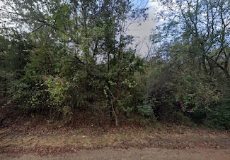 0 Willow Dr, Pittsburg, TX 75686