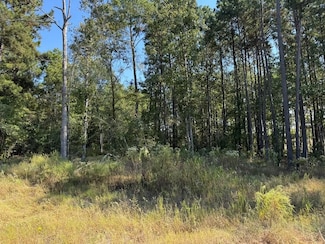 125 Yaupon Ct, Lufkin, TX 75904
