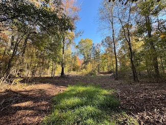 Tallapoosa Farm Rd, Camp Hill, AL 36850