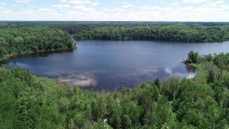 TBD Forestry Rd, Marcell, MN 56657