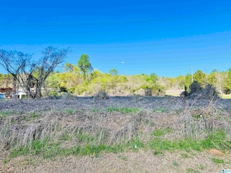 0 Alabama 79 Unit 21384296, Blountsville, AL 35031