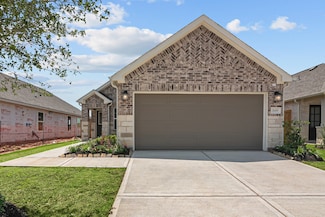 21431 Jacaranda Blossom Way, Tomball, TX 77377