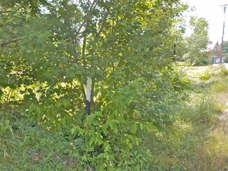 556 Whittier Rd Unit Lot 2.3, Tamworth, NH 03886