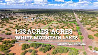 8794 Richard Rd, Show Low, AZ 85901