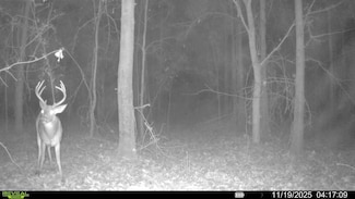 118 Cloar Rd, Earle, AR 72331