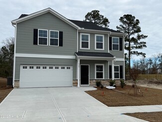 4309 Parsons Mill Dr Unit Lot 193, Castle Hayne, NC 28429