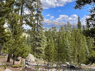 676 Dry Gulch Rd Unit 1099, Fairplay, CO 80440