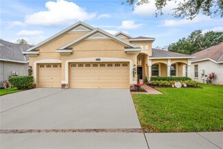 1432 Misty Valley Dr, Brandon, FL 33510