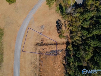 LOT 21 Lake Creek Dr, Guntersville, AL 35976