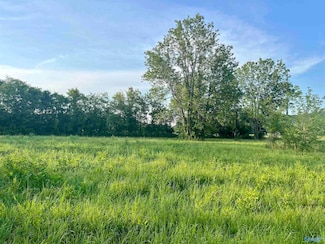 8148 Highway 431 S Unit Lot 1of2, Owens Cross Roads, AL 35763