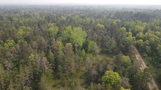 Cherry Creek Trail, Grayling, MI 49738