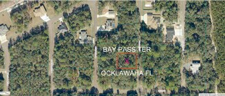 0 Bay Pass Terrace Unit MFROM659475, Ocklawaha, FL 32179